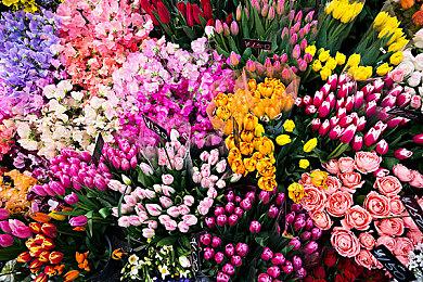 最有效！《CS2》反作弊无声更新 多家外挂软件崩溃