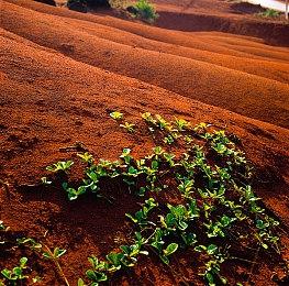 单车旅行游戏《寄梦远方》明年1＆31日发售